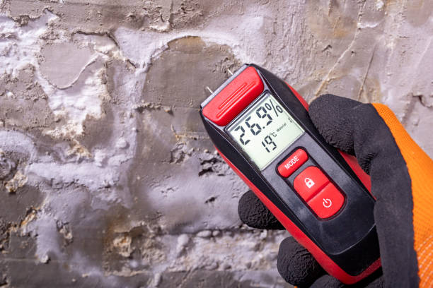 Best Industrial Mold Remediation in Circle Pines, MN