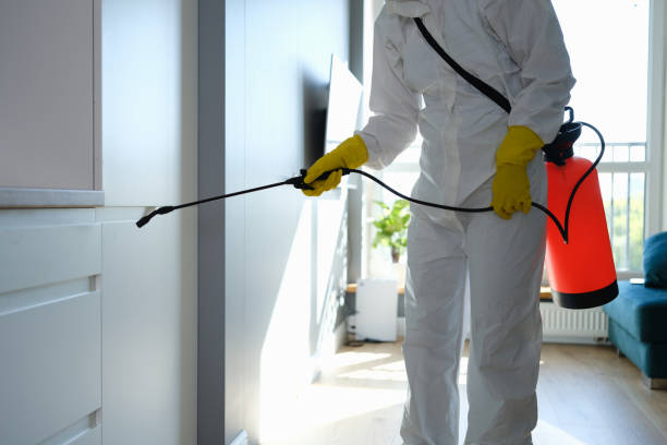 Best Residential Mold Remediation in Circle Pines, MN