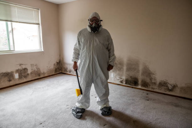 Best Commercial Mold Remediation in Circle Pines, MN